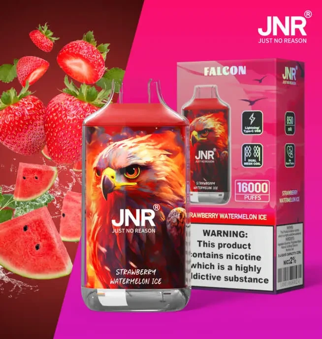 jnr falcon 16000 puffs 30 packs (ship from oversea) jnr falcon 16000 puffs 30 packs (ship from oversea)
