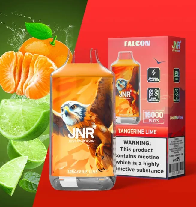 jnr falcon 16000 puffs 30 packs (ship from oversea) jnr falcon 16000 puffs 30 packs (ship from oversea)