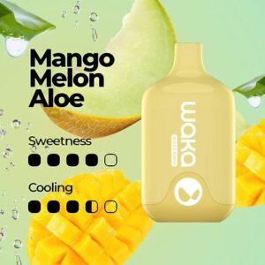 mango melon aloe 1.jpg