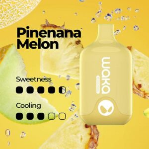 pinenana melon 1.jpg